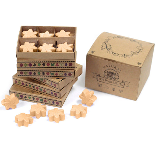 Box of 6 Wax Melts - Midnight Jasmine - These fragrant wax melts are crafted from a natural blend of soy waxes and premium