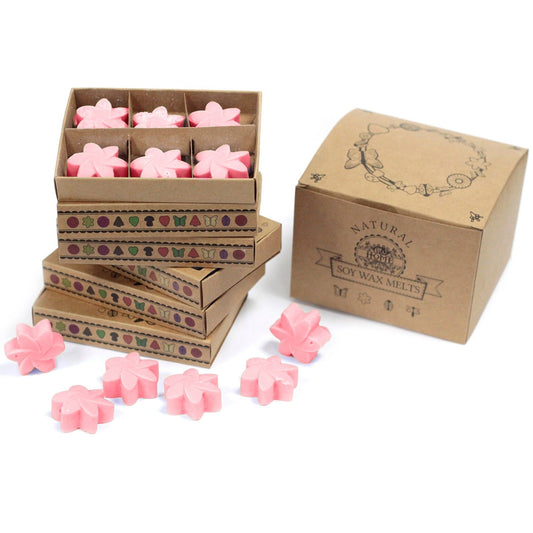Box of 6 Wax Melts - Classic Rose - These Fragrant Wax Melts are made from a natural blend of Soy Waxes and finest fragrance