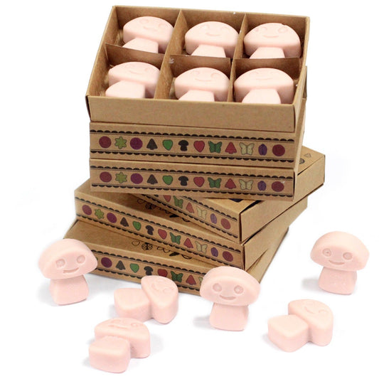 Box of 6 Wax Melts - Old Ginger - These fragrant wax melts are crafted from a natural blend of soy waxes and premium