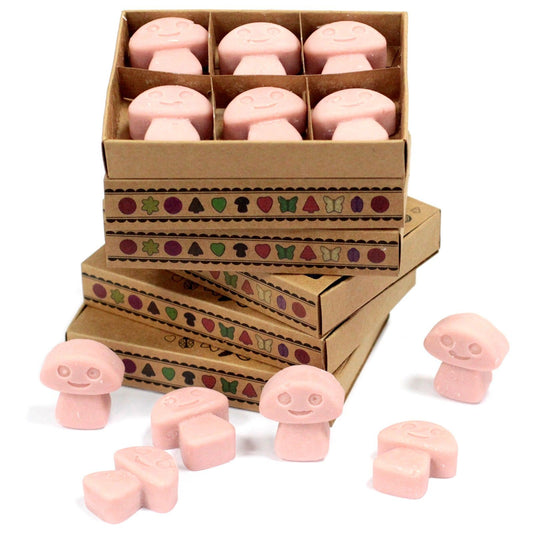 Box of 6 Wax Melts - Coffee Trader - These fragrant wax melts are crafted from a natural blend of soy waxes and premium