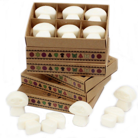 Box of 6 Wax Melts - White Musk - These fragrant wax melts are crafted from a natural blend of soy waxes and premium