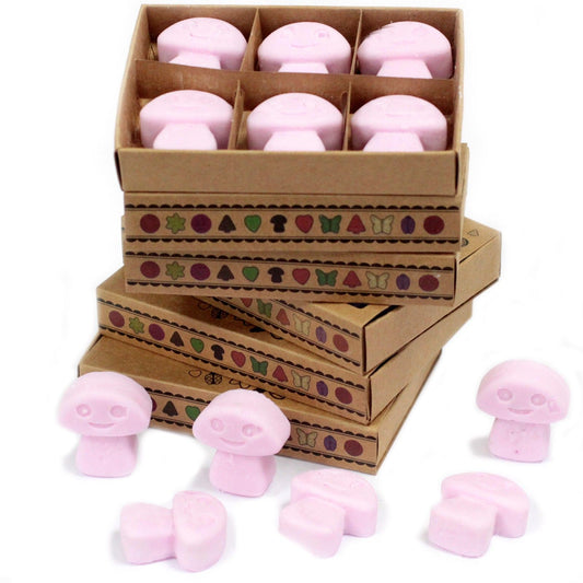 Box of 6 Wax Melts - Ylang Ylang - These fragrant wax melts are crafted from a natural blend of soy waxes and premium