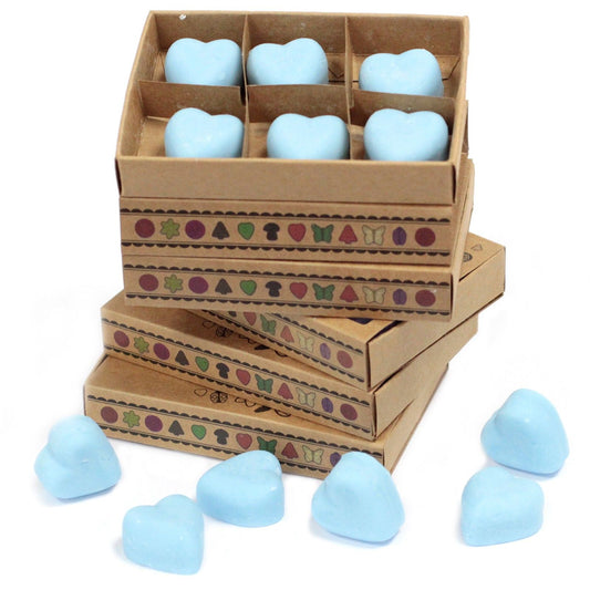 Box of 6 Wax Melts - Dewberry - These fragrant wax melts are crafted from a natural blend of soy waxes and premium fragrance